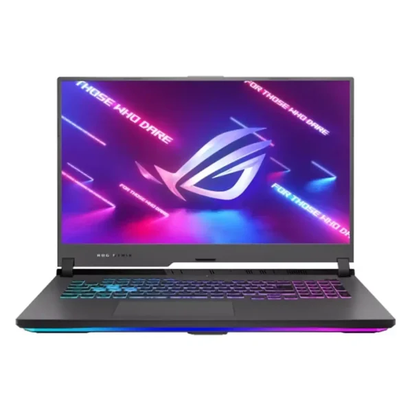 ASUS ROG STRIX G713RM